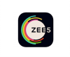 Zee Digital Convergence Ltd