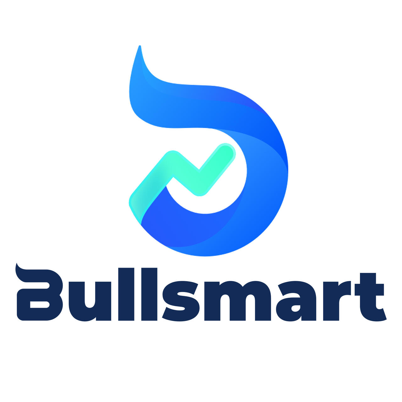 Bullssmart
