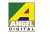 Digital Entertainment