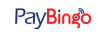 Paybingo
