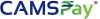 Digital Payments (Payments Council of India)